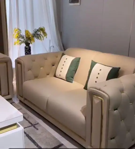 Modren Cushion sofa